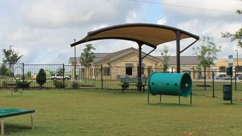 On-Site Pet Playground and Pet Spa